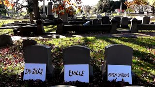 Eville & Zpu-Zilla - No come back (Official Video) Film Production @ShafreelCosmos