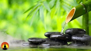 🔴 Relaxing Music 24/7, Calming Music, Spa Music, Meditation Music, Sleep, Zen, Study Music, Yoga