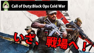 【COD:BOCW】まったり練習記録【ばるChannel】