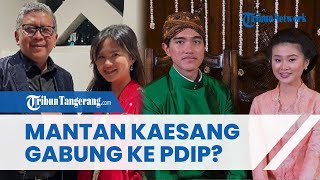 Mantan Pacar Kaesang, Felicia Tissue Pakai Jaket PDI-P: Hasto Beri Komentar
