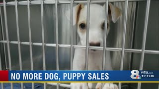 Tampa pet store stops selling puppies, offering rescue dogs for adoption instead