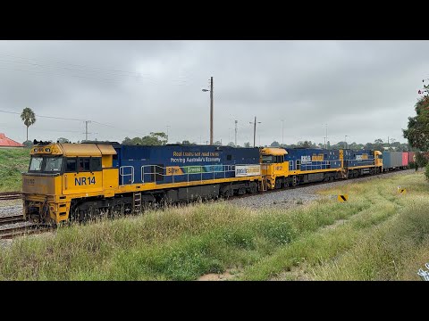 Pacific National NR14, NR121 & NR55 with 4BM4 at Telarah - 13/3/25