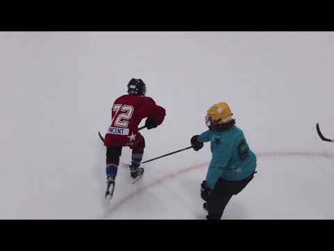 Minor Hockey - U11 Delta Thunder vs Falcons (June 11th, 2023)