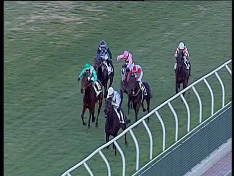 Galoppo 02/01/2020 - 4ª corsa