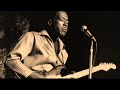 Buddy Guy-When The Time Is Right