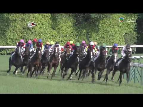 2017 Tokyo Yushun (Japanese Derby) International Group 1 2400m