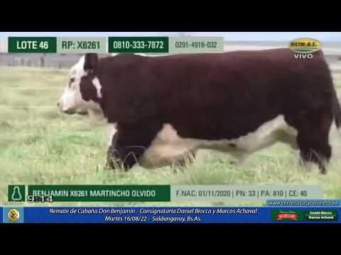 16-08-22 - Remate de Cabaña Don Benjamín - Consignataria Daniel Biocca - Marcos Achaval