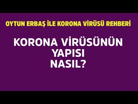Oytun Erbaş anlattı Korona virüsünün yapısı nasıl