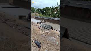 Download lagu Kerasnya kehidupan mp3