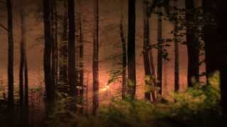 MINOR EMPIRES- Promo release "The Story of Timothy Treadwell" & "Empty rooms" 16.09.13