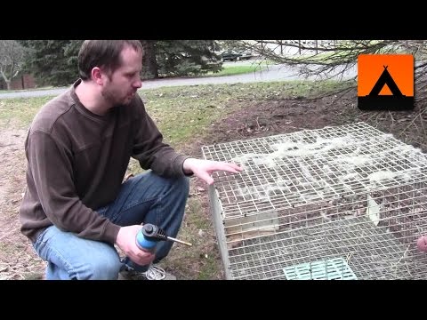 Easily Clean Rabbit Cages with this Simple Trick
