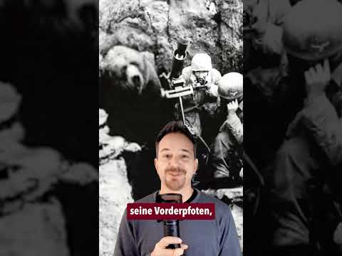Wojtek im Krieg#Wojtek #MonteCassino #WWII #WarHero  #thetimetour #photohistory #christianweber