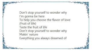 Brownstone - Fruit of Life Lyrics