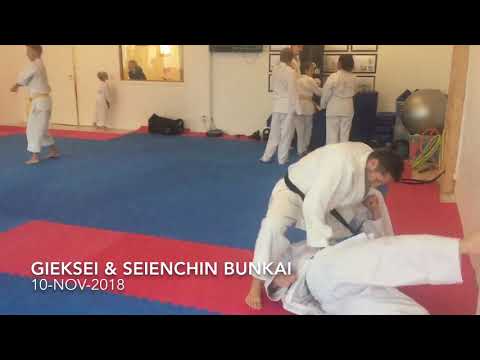 Bunkai of the day