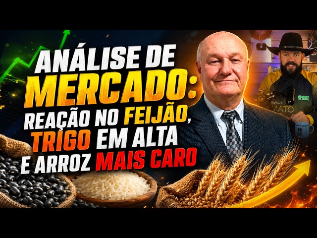 Análise de Mercado: Reação no Feijão, Trigo em Alta e Arroz Mais Caro.