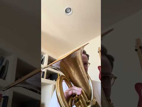 Adams E2 Gold Brass 2023 - Brushed Gold Lacquer image 26