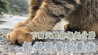 Jami珍式幽默【玩什麼】下雨天，是不是讓你想起了什麼