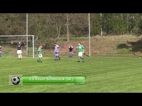 SSV Havelwinkel Warnau - SG Blau-Weiß Niegripp 4:0 (1:0)