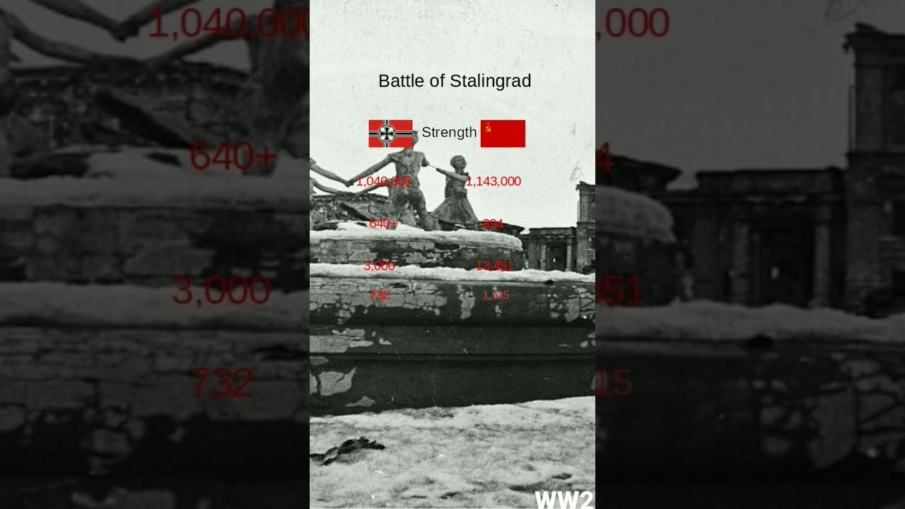 WW2 Battle of Stalingrad #shorts #ww2 #ww2edit #ww2edits #history #stalingrad