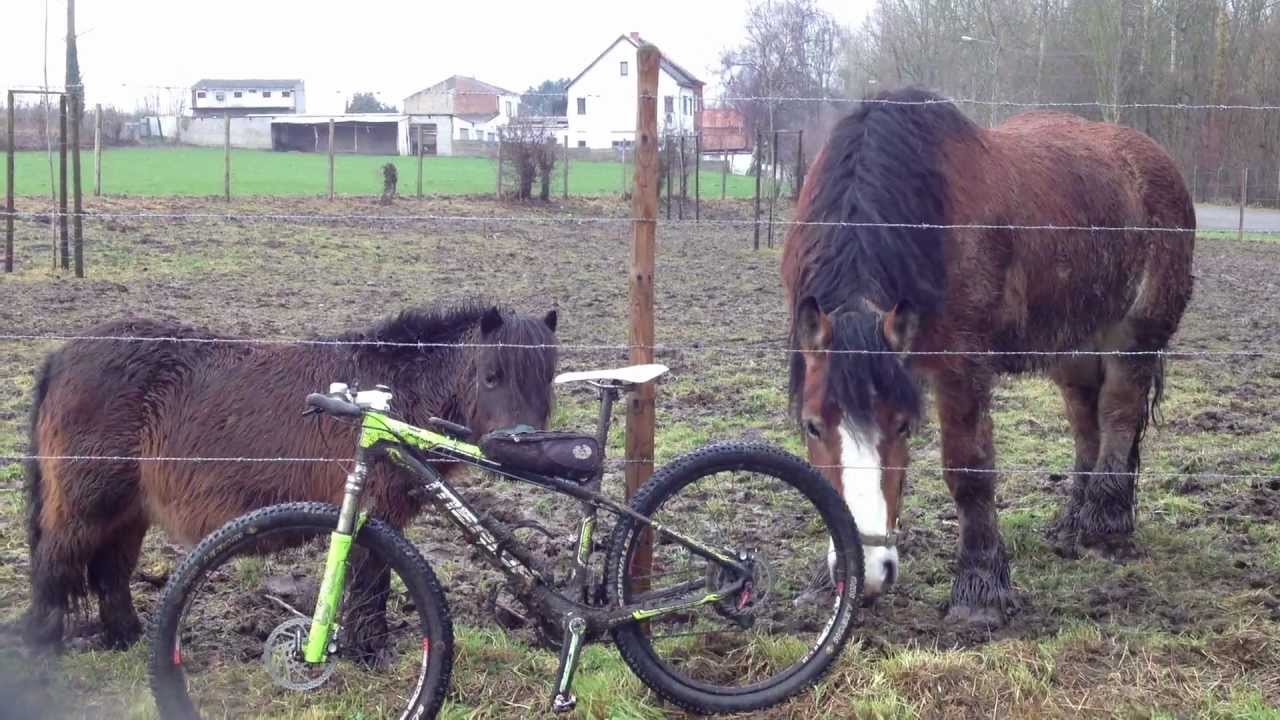 Mijn mtb keuze. 29 inch of 26 inch of 24 inch  - Merida Biker -