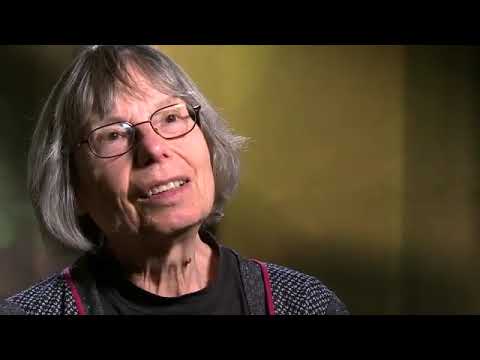 Berlin - Schicksalsjahre einer Stadt: Das Jahr 1966