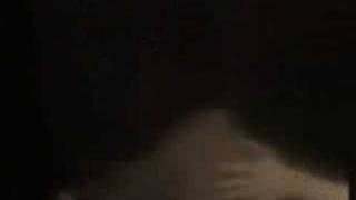 Shelter from the storm... Cruz et Eden