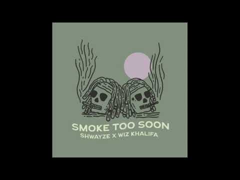 Shwayze x Wiz Khalifa - Smoke Too Soon (432hz)