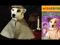 Wishbone Frankenbone 90s