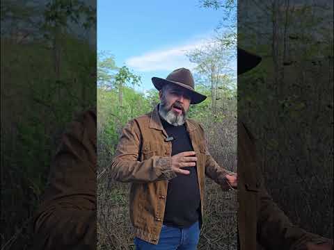 🌾 FAZENDA CACIMBA DE CIMA – ESTRUTURA, ÁGUA E PRODUÇÃO NO CARIRI PARAIBANO 🌾