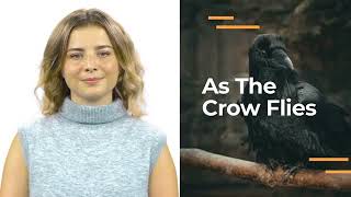 .Joe Bonamassa: as the crow flies(à vol d&#39;oiseau--2009): du BON BLUE-ROCK à écouter toujours...