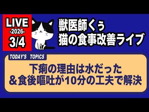 猫の食事改善ライブ【アーカイブは3/5まで】
