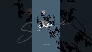 Download lagu sempoove poove💙 whatsapp status 🎧#tamilsonglyrics #lovestatus #lovesongs #loveislove #trendingstatus mp3