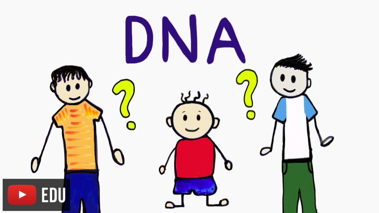 How paternity tests are done? | #InstanteBiotec 49