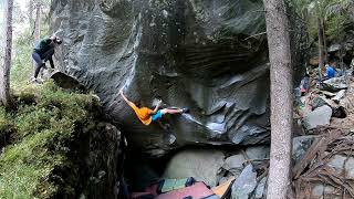 Video thumbnail of The Understanding, 8c. Magic Wood