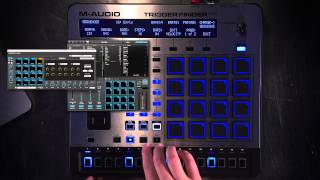 Video thumbnail for M-Audio Trigger Finger Pro Overview 3 of 3 - Step Sequencer by M-Audio