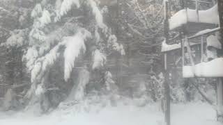観測史上最多降雪量！ 今の札幌市周辺　2021/12/18