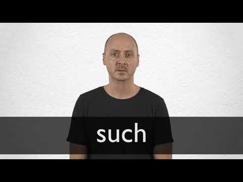 Such Definition And Meaning Collins English Dictionary