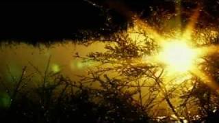 Sophie Ellis-Bextor - Starlight (Official Video) 2011