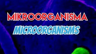 Download lagu EduTikTok - Jenis-jenis Mikroorganisma mp3