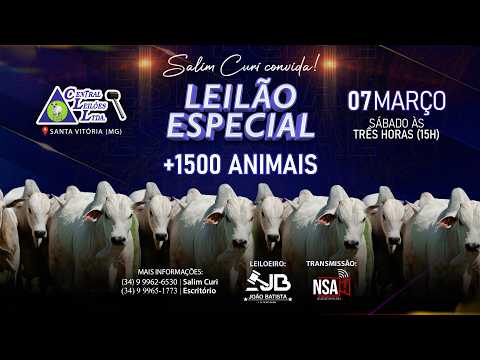 🌾  Leilão Especial Carga Fechada  - Central Leilões - Santa Vitória (MG) - 07 de MARÇO