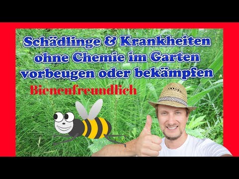 , title : 'Schädlinge & Krankheiten bei Gartenpflanzen bekämpfen & vorbeugen'