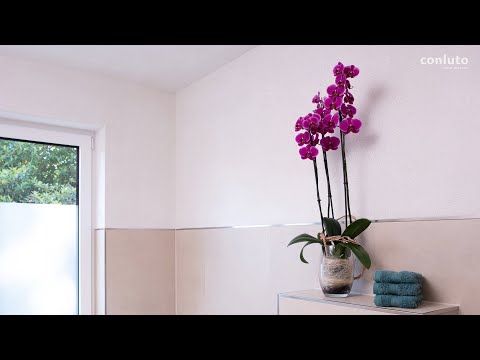 conluto Lehm-Edelputz mit echtem Glimmer