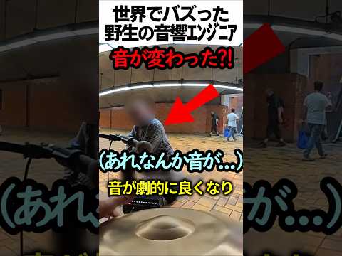 野生の音響エンジニア