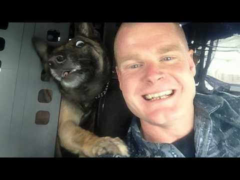 Quand le chien est votre meilleur ami 🤣 drôle de chien et d'humain