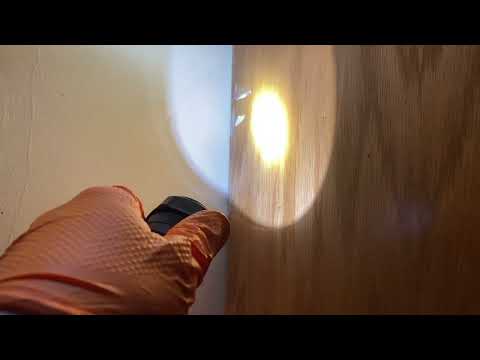 Cockroaches Under the Cabinets in Colts Neck, NJ