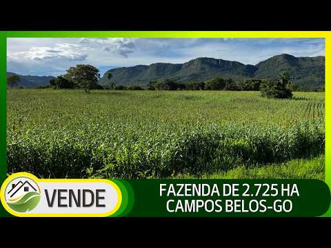 FAZENDA PORTEIRA FECHADA DE 2.725 HA