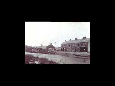 FREE 6 DOGS TYPE BEAT - WARM WEATHER