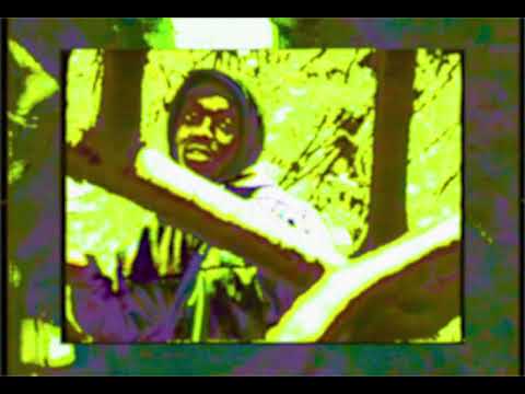 Spectacular Diagnostics - Fish ft Pertrelli Purple (Official Music Video)