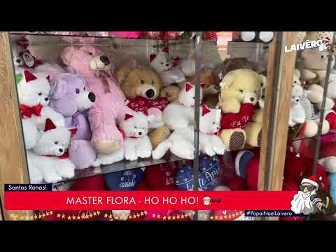PAPAI NOEL LAIVÊRO - MASTER FLORA