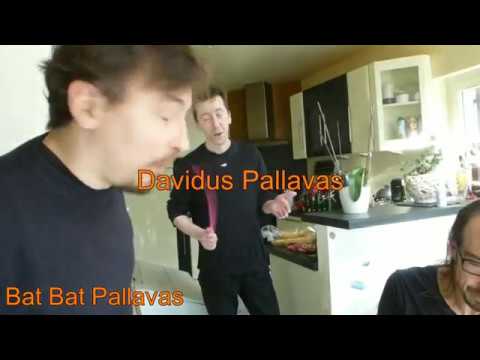 Diego Pallavas à la Souris Verte à Épinal(88)